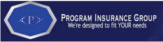 Program Insurance Group.png